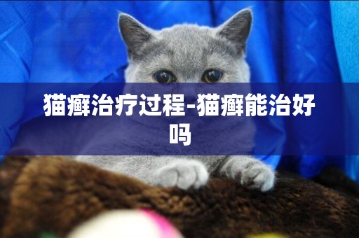 貓癬治療過程-貓癬能治好嗎