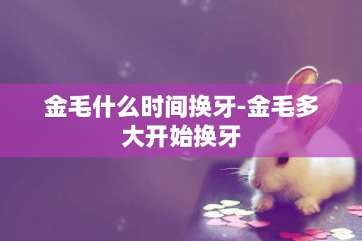 金毛什么時間換牙-金毛多大開始換牙