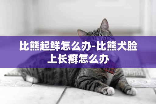 比熊起鮮怎么辦-比熊犬臉上長癬怎么辦