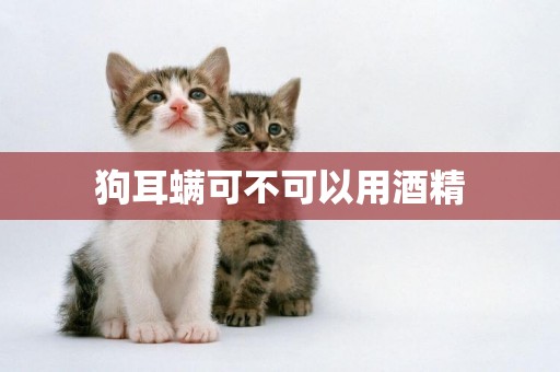 狗耳螨可不可以用酒精