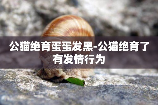 公貓絕育蛋蛋發黑-公貓絕育了有發情行為