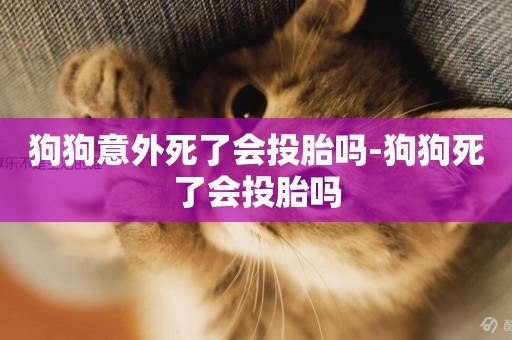 狗狗意外死了會投胎嗎-狗狗死了會投胎嗎