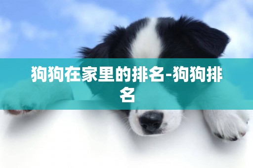 狗狗在家里的排名-狗狗排名