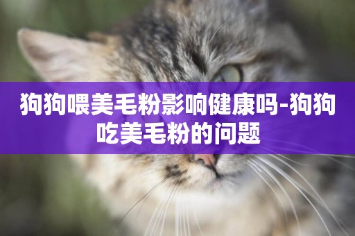 狗狗喂美毛粉影響健康嗎-狗狗吃美毛粉的問題