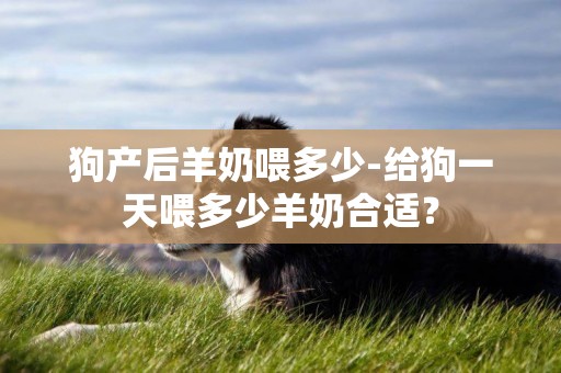 狗產后羊奶喂多少-給狗一天喂多少羊奶合適？