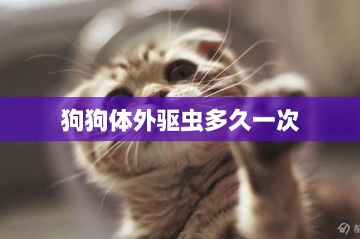 狗狗體外驅蟲多久一次