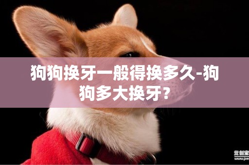 狗狗換牙一般得換多久-狗狗多大換牙？