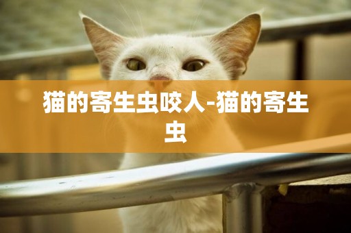 貓的寄生蟲咬人-貓的寄生蟲