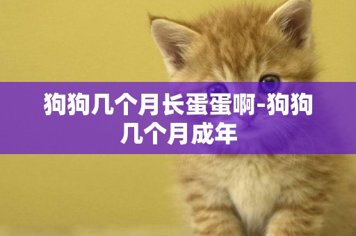 狗狗幾個月長蛋蛋啊-狗狗幾個月成年