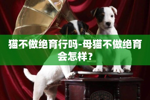 貓不做絕育行嗎-母貓不做絕育會怎樣？