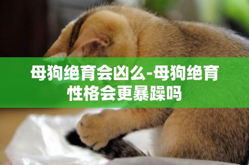母狗絕育會兇么-母狗絕育性格會更暴躁嗎