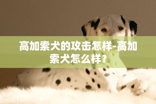 高加索犬的攻擊怎樣-高加索犬怎么樣？