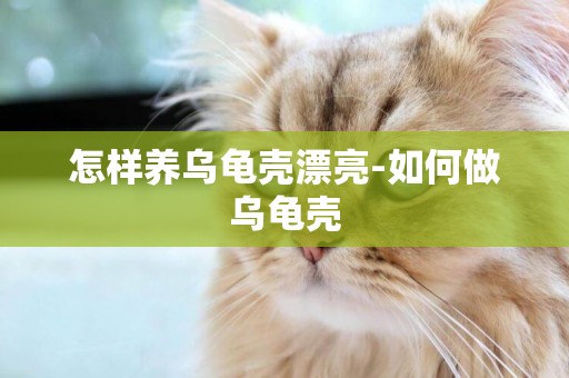 怎樣養烏龜殼漂亮-如何做烏龜殼