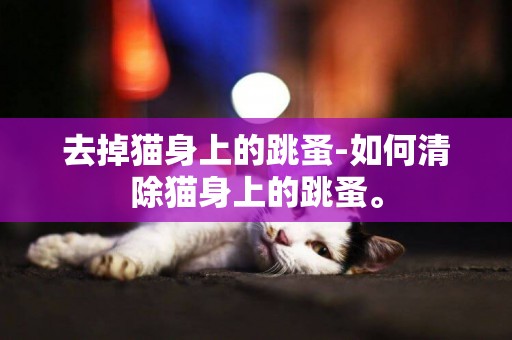 去掉貓身上的跳蚤-如何清除貓身上的跳蚤。