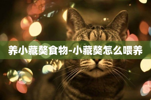 養小藏獒食物-小藏獒怎么喂養