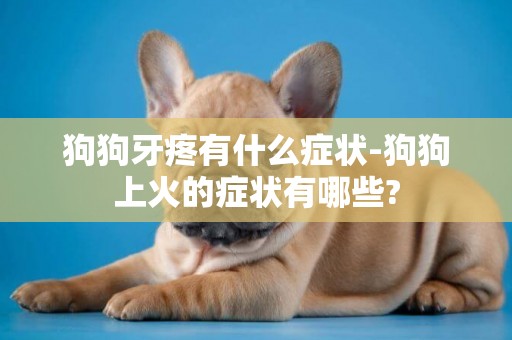 狗狗牙疼有什么癥狀-狗狗上火的癥狀有哪些?