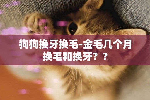 狗狗換牙換毛-金毛幾個月換毛和換牙？？
