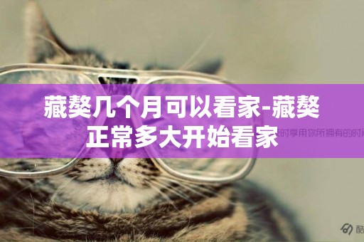 藏獒幾個月可以看家-藏獒正常多大開始看家