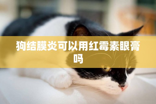 狗結膜炎可以用紅霉素眼膏嗎