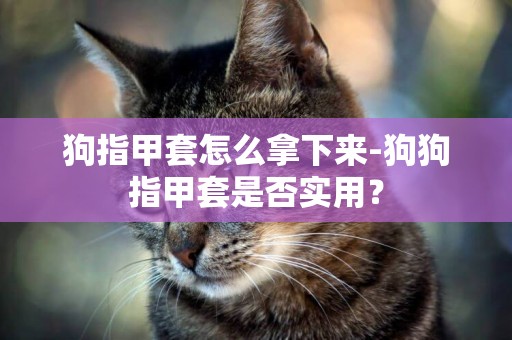 狗指甲套怎么拿下來-狗狗指甲套是否實用？