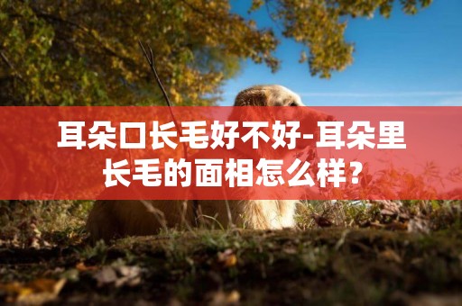 耳朵口長毛好不好-耳朵里長毛的面相怎么樣？