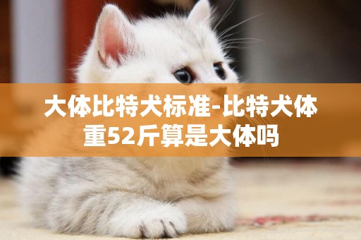 大體比特犬標準-比特犬體重52斤算是大體嗎