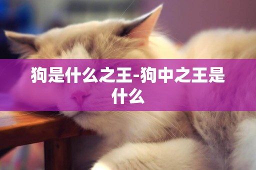 狗是什么之王-狗中之王是什么