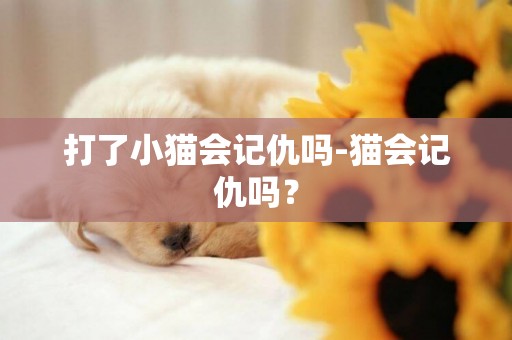 打了小貓會記仇嗎-貓會記仇嗎？