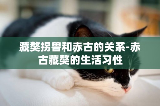藏獒拐獸和赤古的關系-赤古藏獒的生活習性