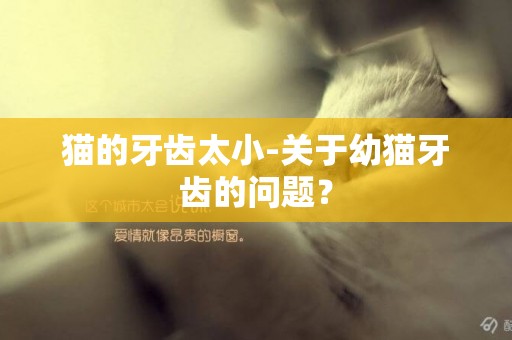貓的牙齒太小-關于幼貓牙齒的問題？