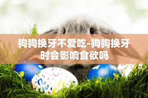 狗狗換牙不愛吃-狗狗換牙時會影響食欲嗎