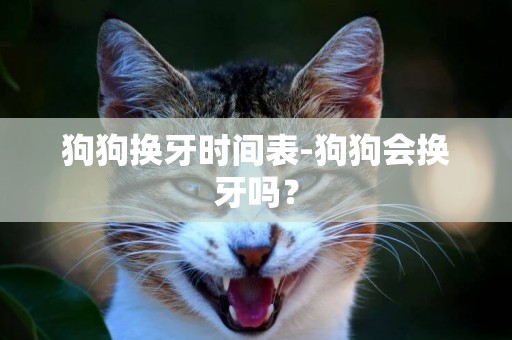 狗狗換牙時間表-狗狗會換牙嗎？