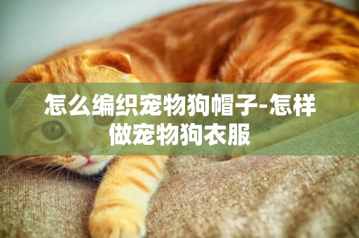 怎么編織寵物狗帽子-怎樣做寵物狗衣服