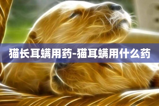 貓長耳螨用藥-貓耳螨用什么藥