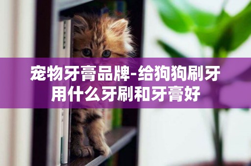 寵物牙膏品牌-給狗狗刷牙用什么牙刷和牙膏好