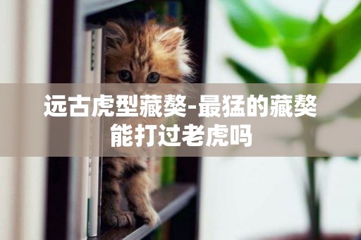 遠古虎型藏獒-最猛的藏獒能打過老虎嗎