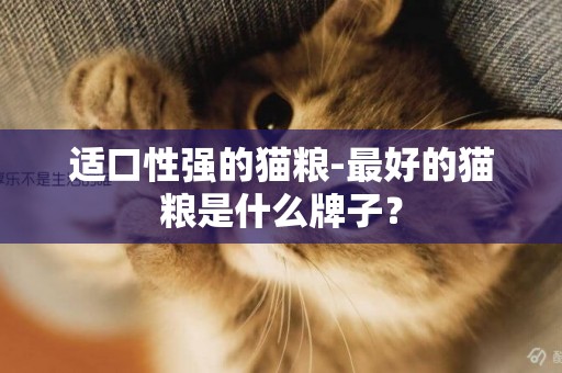 適口性強的貓糧-最好的貓糧是什么牌子？