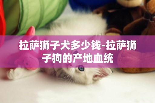 拉薩獅子犬多少錢-拉薩獅子狗的產地血統