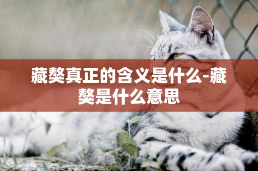 藏獒真正的含義是什么-藏獒是什么意思