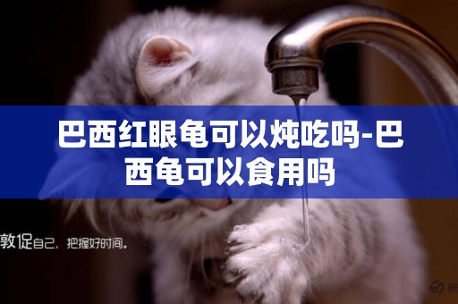 巴西紅眼龜可以燉吃嗎-巴西龜可以食用嗎