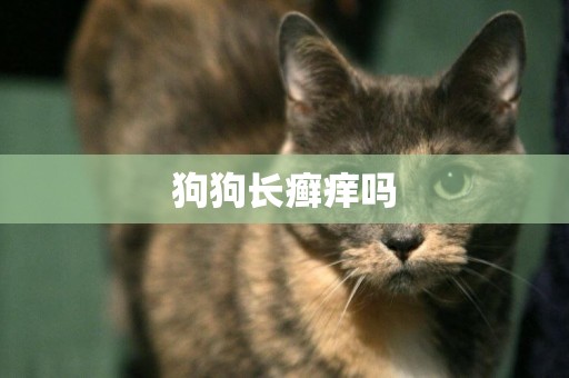 狗狗長癬癢嗎