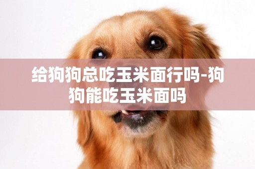 給狗狗總吃玉米面行嗎-狗狗能吃玉米面嗎