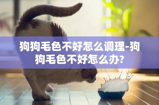 狗狗毛色不好怎么調理-狗狗毛色不好怎么辦?