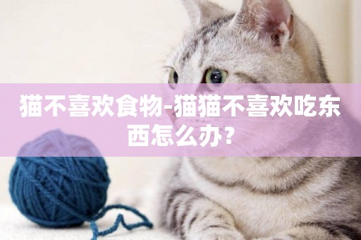 貓不喜歡食物-貓貓不喜歡吃東西怎么辦？
