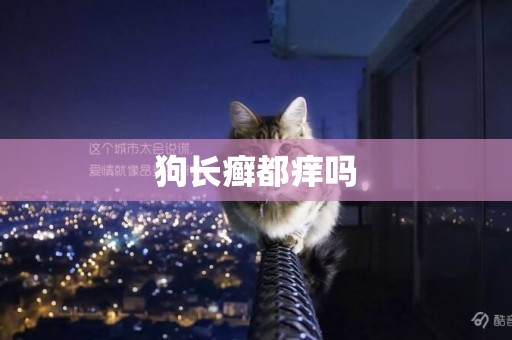 狗長癬都癢嗎