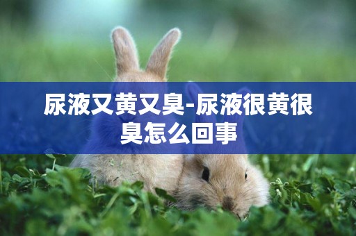 尿液又黃又臭-尿液很黃很臭怎么回事