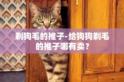剃狗毛的推子-給狗狗剃毛的推子哪有賣？