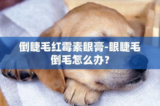 倒睫毛紅霉素眼膏-眼睫毛倒毛怎么辦？