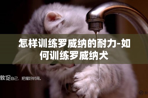 怎樣訓練羅威納的耐力-如何訓練羅威納犬