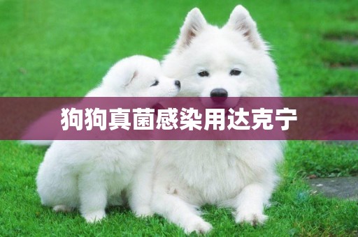 狗狗真菌感染用達克寧